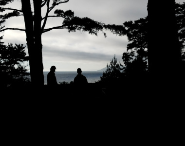darkTREES at Plaskett Creek Campground - Big Sur, California
