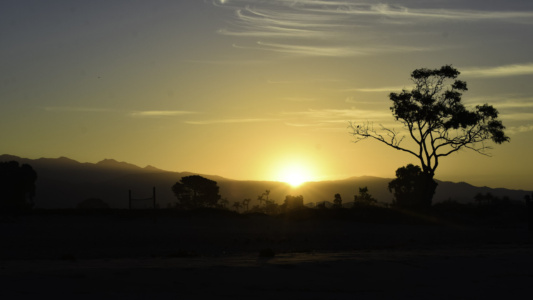 Carpinteria State Beach - Carpinteria CA